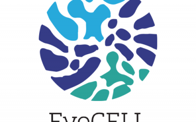 8 Short-term Early Stage Researcher positions available through the EvoCELL ITN