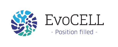 POSITION FILLED: EvoCELL Short term Early Stage Researcher (MSCA): User Experience/lnteraction designer for the development of an online exhibition prototype