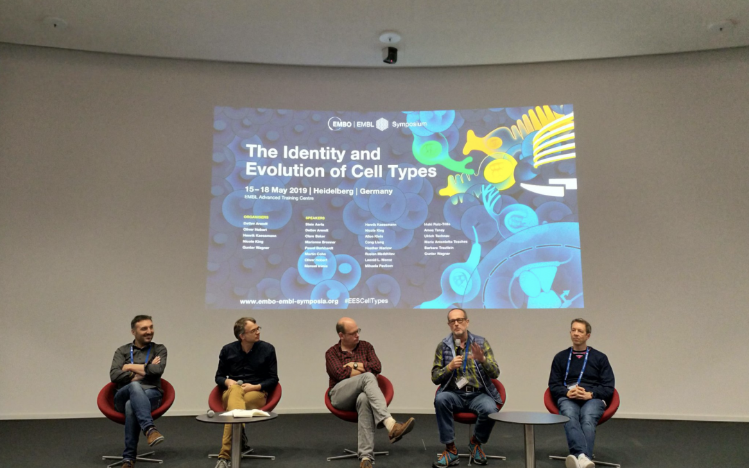 What a conference: The Identity and Evolution of Cell types